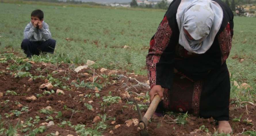 76% من النساء الاردنيات يعملن بالقطاعين النباتي والحيواني